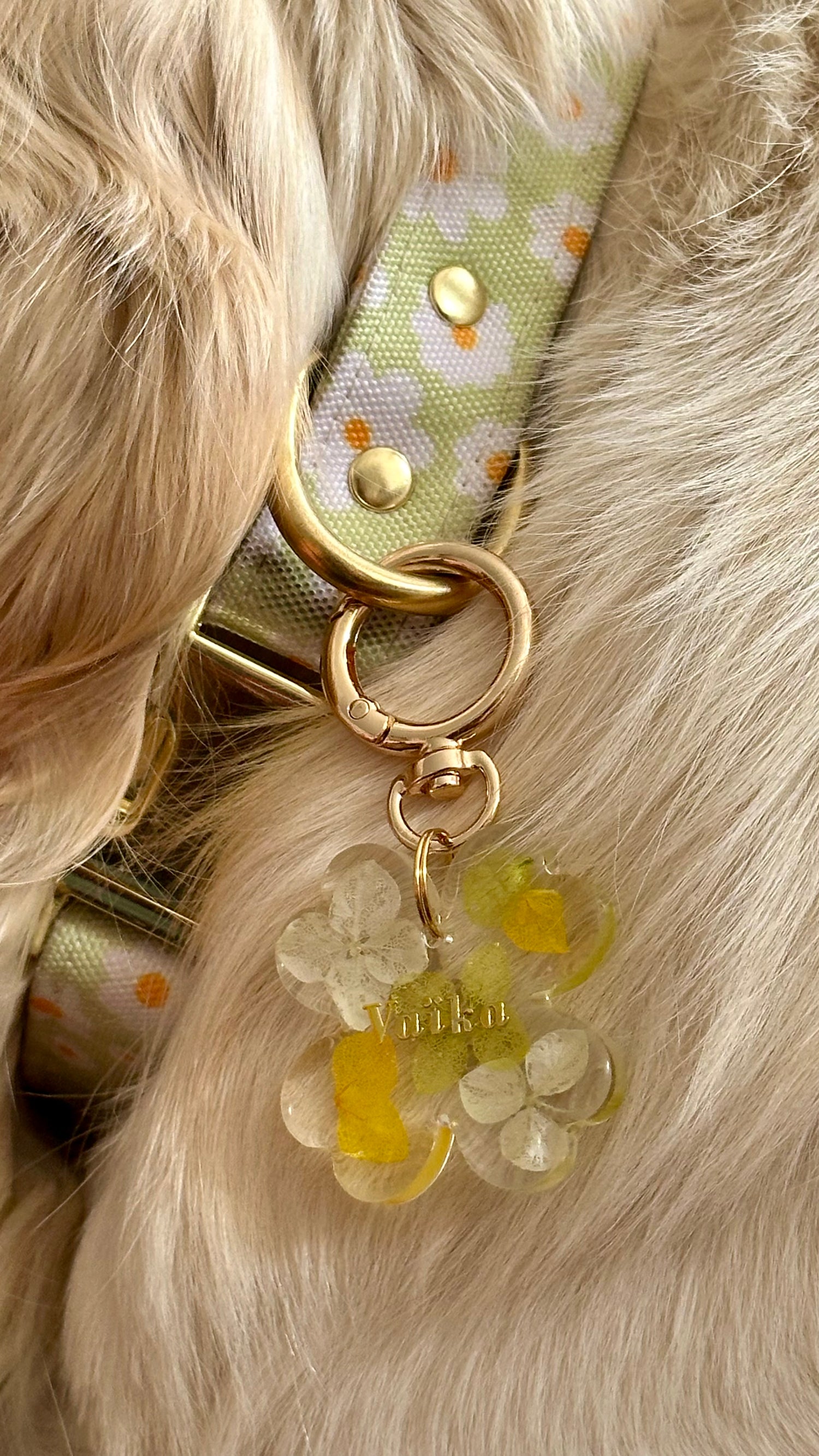 🐶🐱 Médaillons personnalisés