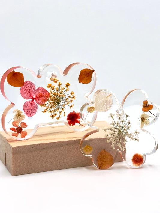 Médaillon 🍂 Automnale 🍂